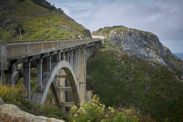 Fototapeta na wymiar bridge over the river on california coast