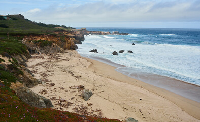 Fototapeta na wymiar beach and sea on california coast