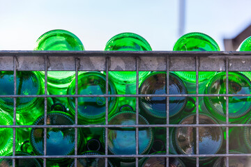 Weinflaschen in der Gitterbox