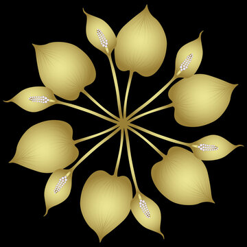 Round floral bouquet. Leaves and flowers of Bog Arum plant. (Calla Palustris). Swamp Lily. Golden glossy star with white pearl beads on black background. Jewelry design.
