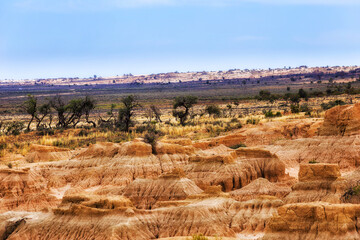 D Mungo Forms trees to horizon