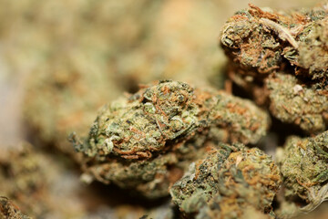 Cannabis sativa marihuana buds super lemon haze family cannabaceae close up modern background high quality big size prints Cannabis-Legalisierung in Deutschland 2023: Wann ist Kiffen legal?