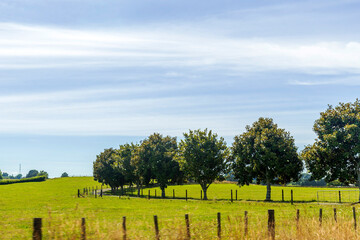 Fototapeta na wymiar Beautiful summer landscape in New Zealand
