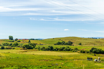 Fototapeta na wymiar Beautiful summer landscape in New Zealand