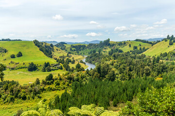 Obraz premium Whanganui river view from Piriaka lookout on State Highway 49 in New Zealand