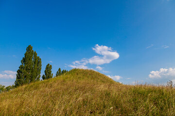 The hilly nature of Eastern Europe. Background with copy space for text, toned