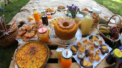Bachelor and bachelorette party Picnic at Porto City Party in Oporto, Portugal. Blanket with food prepared for summer picnic outdoor.