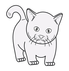 Cat vector. illustration, cartoon drawing.