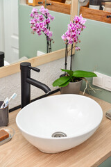 Stylish vessel sink with black basin mixer