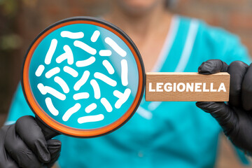 Medical concept of legionella test. Legionella pneumophila bacteria in human lungs - causative...