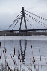 bridge over the river