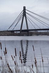 bridge over the river thames