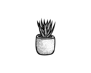 Drawing of a Cactus houseplant, ink stippling vector illustration