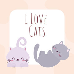 cute cats cartel