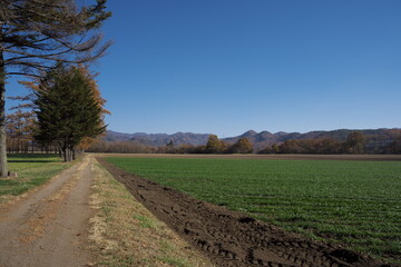 Fototapeta na wymiar 秋の晴れた日の美しい牧場の風景
