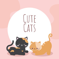 cute cats card