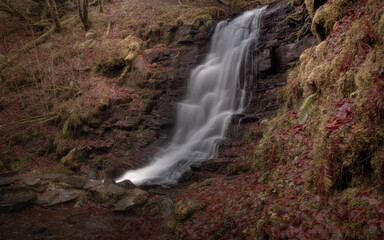 waterfall in the woods