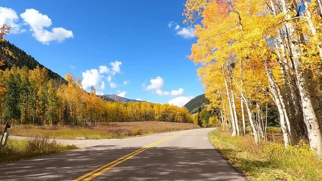 Aspen road in autumn - Colorado fall color
