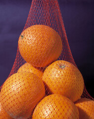 oranges hanging in bag with purple background