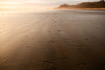 Long Beach sunset, Tofino, Vancouver Island, B.C., Canada. - obrazy, fototapety, plakaty