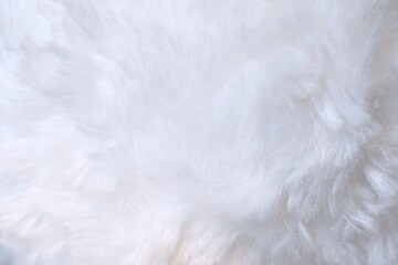 Obraz premium white fur texture abstract feather background