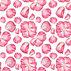 Seamless pattern watercolor pink white rose flower petal on white background. Hand-drawn botanical for Valentine's day or 8 March. Hello spring. Women's day. Art for wedding celebration invite