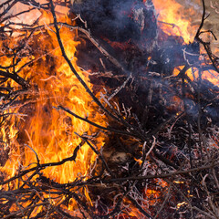 Flaming fire. Burning tree branches. Pagan rite dedicated to the arrival of spring. Big bonfire on Shrovetide. Auto-da-fe, ritual of public punishment, burning at the stake.