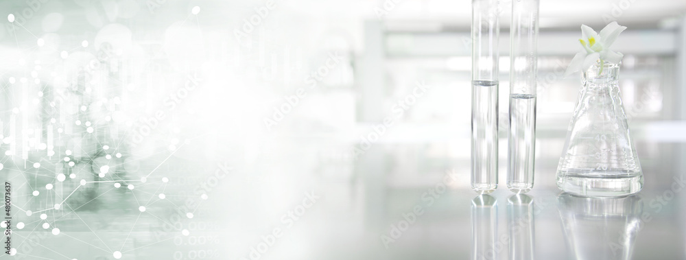 Wall mural clear glass flask with flower and test tube with white data information in cosmetic science lab bann