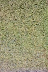 Front view of concrete or plaster wall with rough surface shows beautiful natural green color and surface texture of vintage and grunge building structure. It is beautiful abstract background.