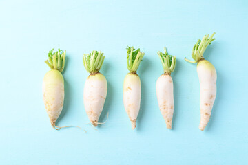 Organic white radish or Chinese radish on light blue background, imperfectly shape, Food trend