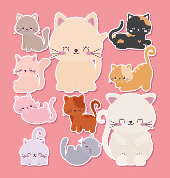 ten cute cats