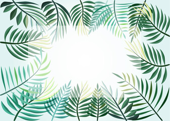 Fototapeta na wymiar Palm tree leaves frame border drawing graphic design vector background template
