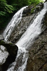 trekking around waterfall in summer