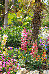 red and yellow flowers