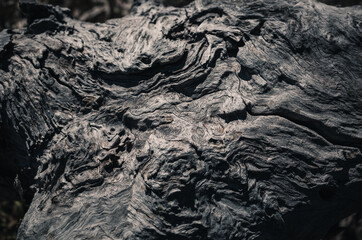 Tree surface