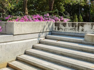 steps in the park