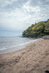 sea scape with sea wave, cloudy sky, mangrove forest and sandy beach when summer time. the photo perfect for holidays background, nature pamphlet and advertising brochure. 