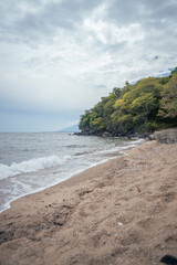 sea scape with sea wave, cloudy sky, mangrove forest and sandy beach when summer time. the photo perfect for holidays background, nature pamphlet and advertising brochure. 