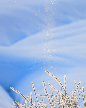 ダイヤモンドダスト Images Browse 417 Stock Photos Vectors And Video Adobe Stock