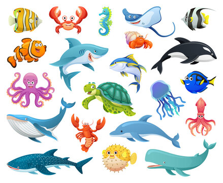 Set of fish and sea animals in cartoon style