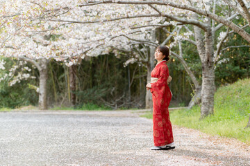 美しい日本女性
