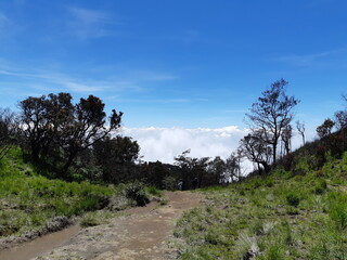 road to the mountains