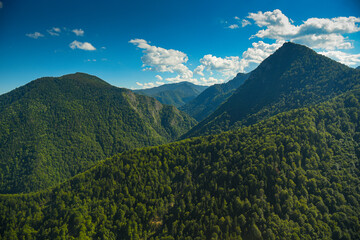 Amazing nature. An impressive green forest between the mountains photographed from above during a beautiful sunny day. Aerial natural landscape. - Powered by Adobe
