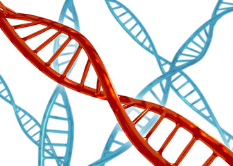 3D rendering of human DNA