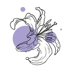 Vector hand drawn magnolia spring and summer flowers. Beautiful romantic floral composition for wedding invitation, greeting card. White colorful background and hand drawing icon. valentines day