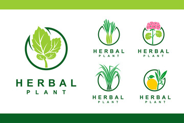 herbal plants logo with multiple concept