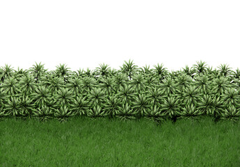 Greenery plants scene isometric 3d rendering scene