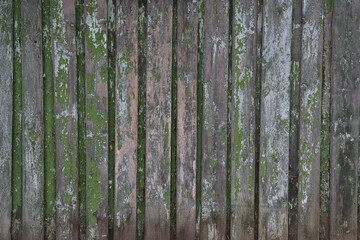 Old wood texture background, wooden board, rustic fence.