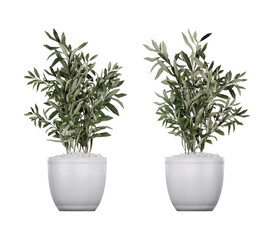 Isometric plant 3d rendering isolated