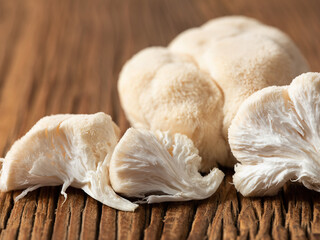 Hericium erinaceus mushroom on wooden background
